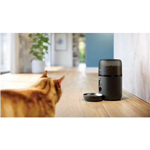 Philips 5000, 4.5 L, tumši pelēka - Viedā mājdzīvnieku barotava ar kameru