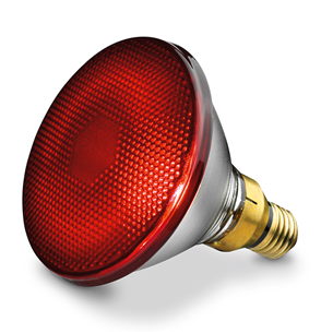 Beurer IL35, 150 W - Rezerves infrasarkanā spuldze 61651