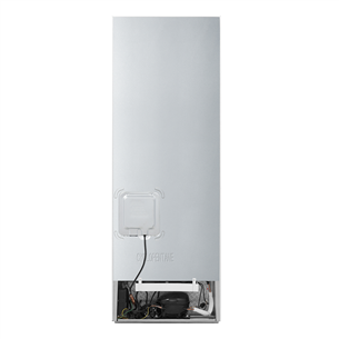 Hisense, No Frost, 240 L, augstums 172 cm, balta - Saldētava