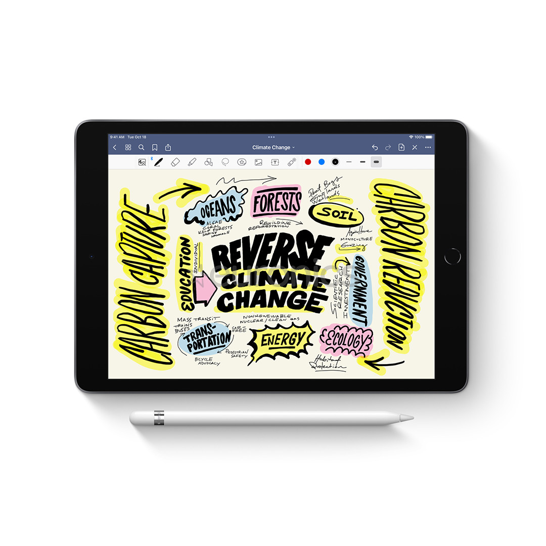 Apple Pencil (1st Generation), balta - Stilus