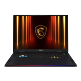 MSI Raider A18, 18'', UHD+, Mini-LED, 120 Hz, Ryzen 9, 64 GB, 2 TB, RTX 5090, ENG, core black - Notebook