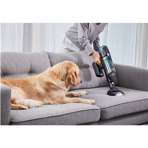 Tefal X-Force Flex 14.80, black/green - Cordless vacuum cleaner