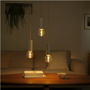 Philips Hue G95 Globe, E27, melna - Viedā spuldze