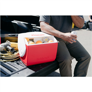 Igloo Playmate Elite, Red Star, 15 L, red - Cool box