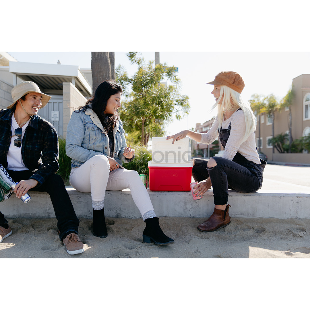 Igloo Laguna 9, Red Star 8 L, red - Cool box