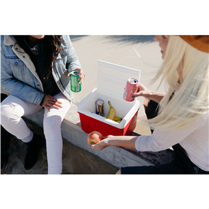 Igloo Laguna 9, Red Star 8 L, red - Cool box