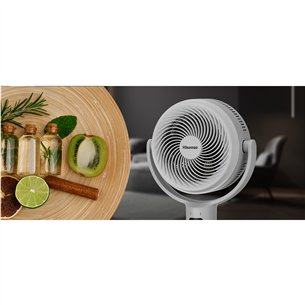 Hisense, balta - Grīdas ventilators
