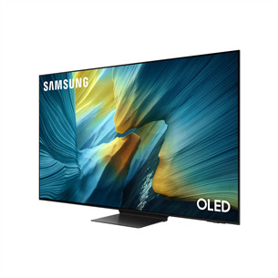 Samsung S95F, 65'', 4K UHD, OLED, melna - Televizors