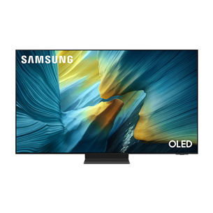 Samsung S95F, 55'', 4K UHD, OLED, черный - Телевизор QE55S95FATXXH