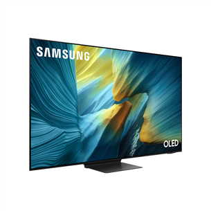 Samsung S95F, 55'', 4K UHD, OLED, черный - Телевизор