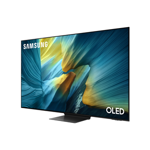Samsung S95F, 55'', 4K UHD, OLED, черный - Телевизор