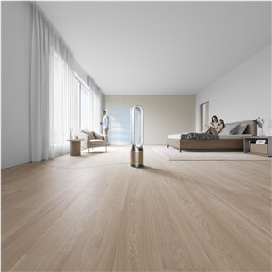 Dyson, белый/золотистый - Очиститель воздуха