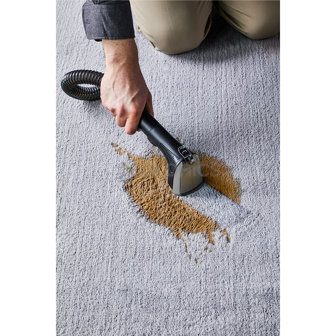 Rowenta Clean It, black/green - Carpet cleaner