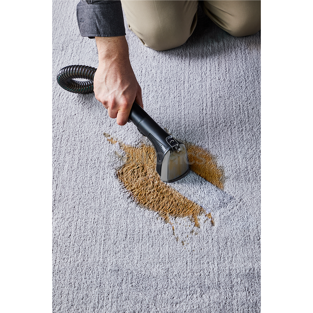 Rowenta Clean It, черный/зеленый - Очиститель текстиля