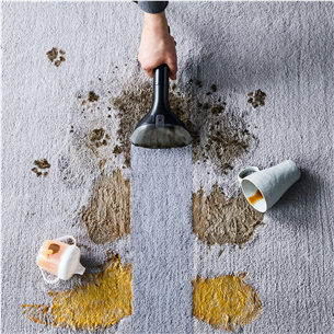 Rowenta Clean It, черный/зеленый - Очиститель текстиля