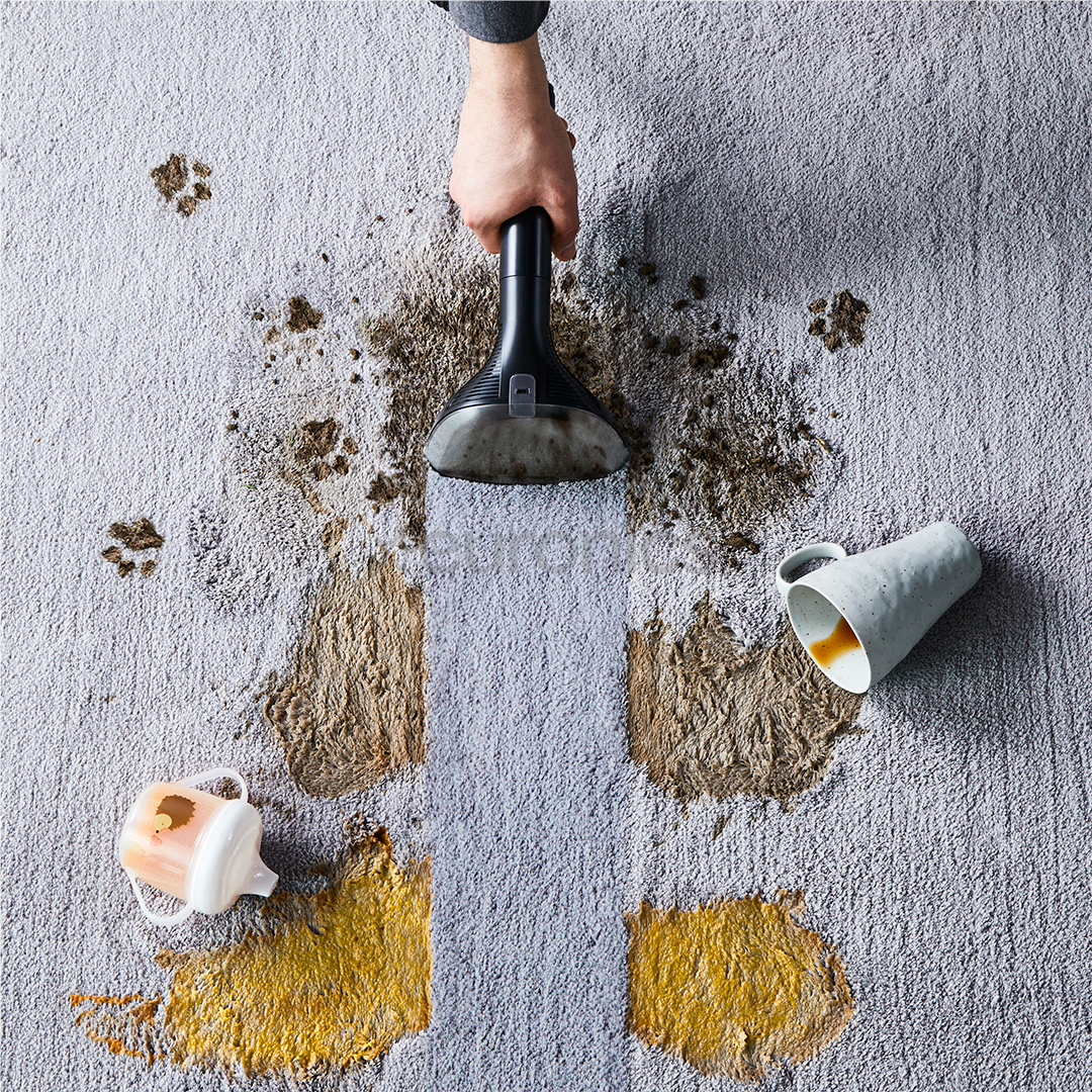 Rowenta Clean It, черный/зеленый - Очиститель текстиля