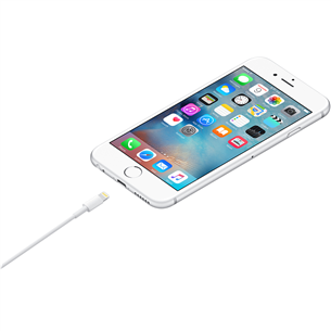 Apple Lightning to USB, 1 m, balta - Vads