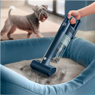 Philips 5000 Series Flex, blue - Cordless vacuum cleaner