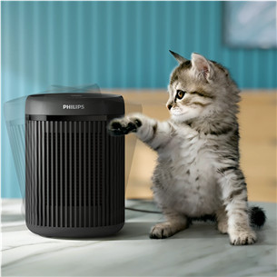 Philips 2000 Series, 1500 W, dark grey - Compact ceramic heater