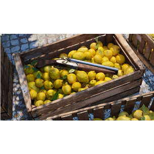 Mafia: The Old Country, Xbox Series X - Game