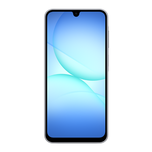 Samsung Galaxy A17, LTE, 128GB, pelēka - Viedtālrunis