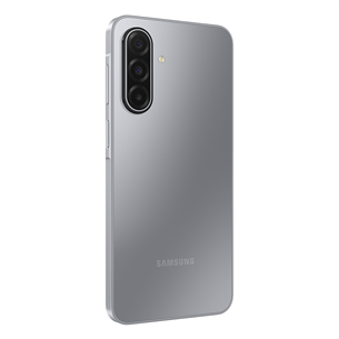 Samsung Galaxy A17, LTE, 128GB, pelēka - Viedtālrunis