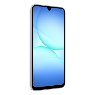 Samsung Galaxy A17, LTE, 128GB, pelēka - Viedtālrunis