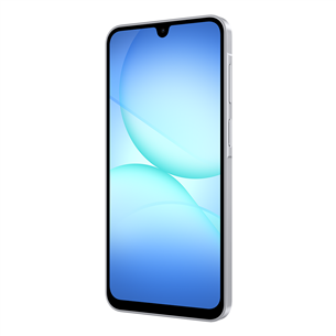 Samsung Galaxy A17, LTE, 128GB, pelēka - Viedtālrunis