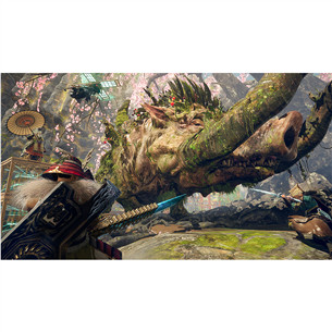 Wild Hearts S, Nintendo Switch 2 - Spēle