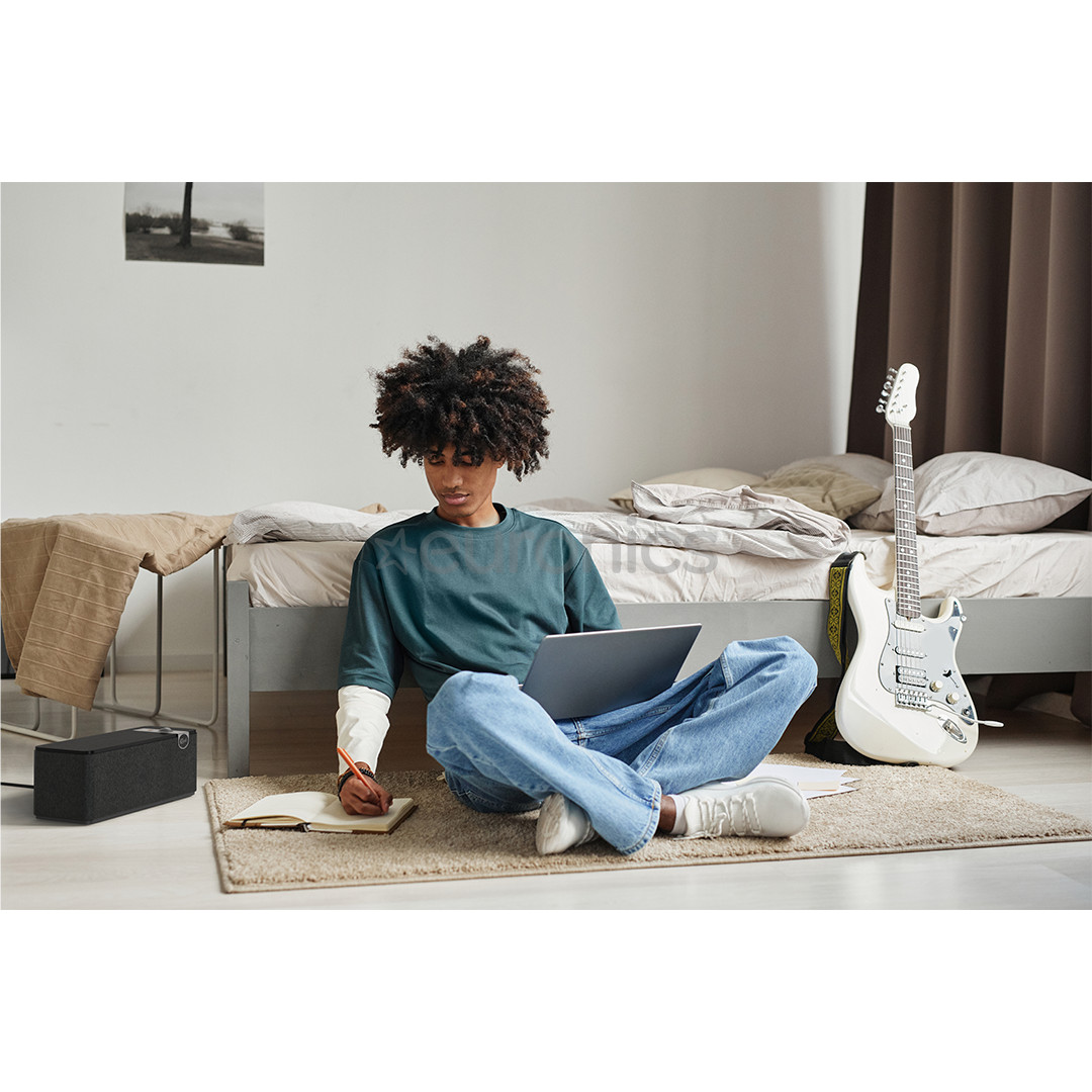 Klipsch The One Plus, черный - Беспроводная домашняя колонка