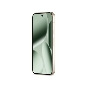Google Pixel 10 Pro, 256 ГБ, зеленый - Смартфон