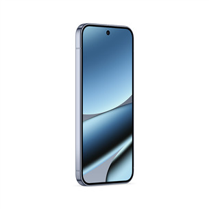 Google Pixel 10 Pro XL, 256 GB, pelēka - Viedtālrunis