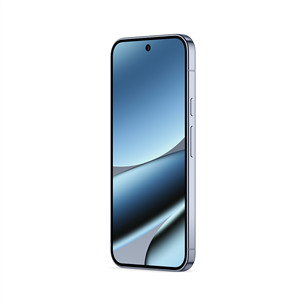 Google Pixel 10 Pro XL, 256 GB, pelēka - Viedtālrunis