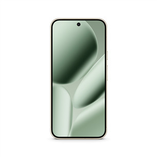 Google Pixel 10 Pro XL, 256 GB, zaļa - Viedtālrunis