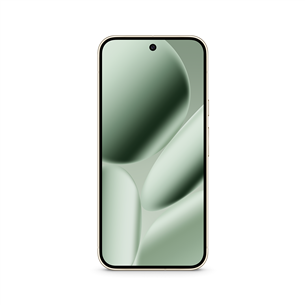 Google Pixel 10 Pro XL, 256 ГБ, зеленый - Смартфон