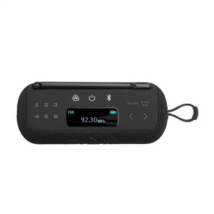JBL Tuner 3, black - Portable radio