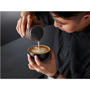 Sage the Pro Control, 420 ml, nerūsējošā tērauda - Krūze piena putošanai