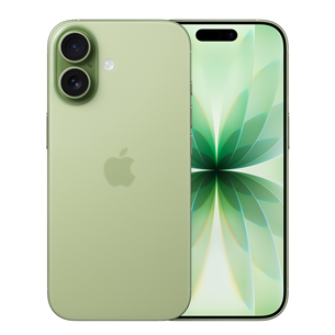 Apple iPhone 17, 256 ГБ, зеленый - Смартфон MG6N4HX/A
