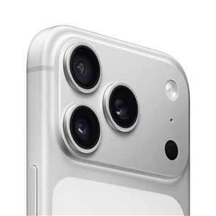 Apple iPhone 17 Pro, 256 ГБ, серебристый - Смартфон