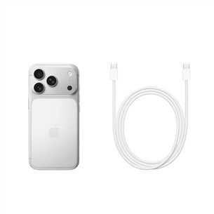 Apple iPhone 17 Pro, 256 ГБ, серебристый - Смартфон