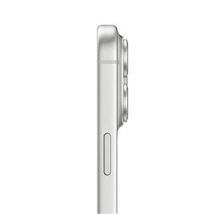Apple iPhone 17 Pro Max, 1 ТБ, серебристый - Смартфон