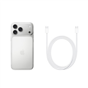 Apple iPhone 17 Pro Max, 1 ТБ, серебристый - Смартфон