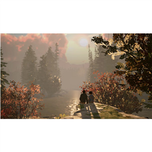 Life is Strange 2, Nintendo Switch - Spēle