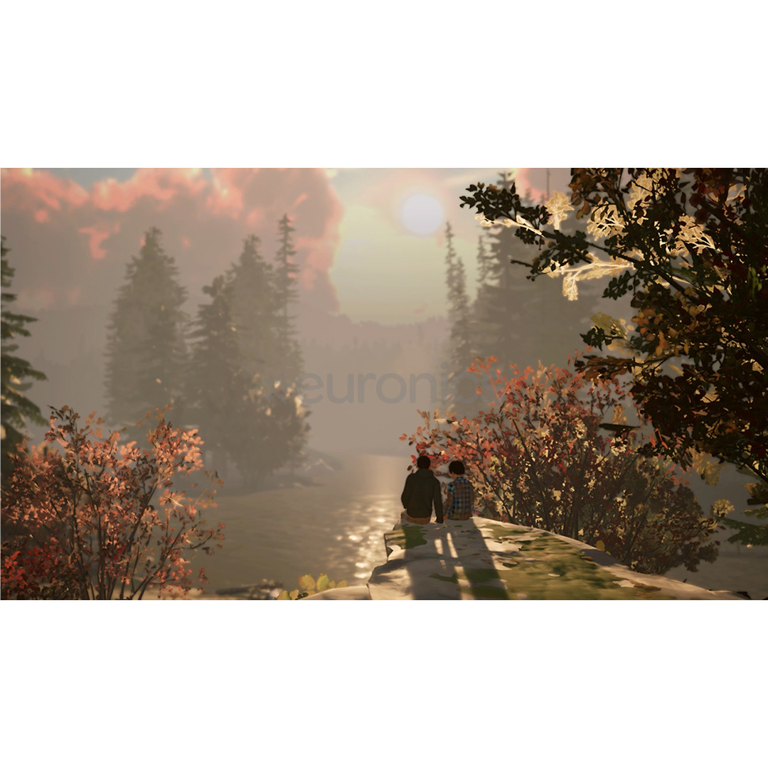 Life is Strange 2, Nintendo Switch - Spēle