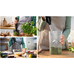 Bosch ErgoMixx, 1000 W, black - Hand blender