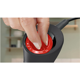 Bosch ErgoMixx, 1000 W, black - Hand blender
