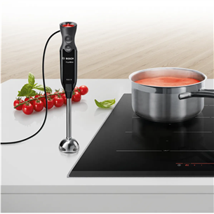 Bosch ErgoMixx, 1000 W, black - Hand blender