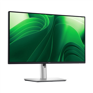 Dell Pro Plus, 24'', QHD, 100 Hz, silver - Monitor
