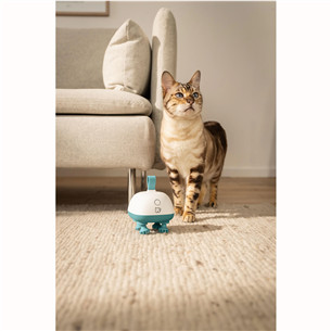 Beurer Buddy, balta/zaļa - Masāžas ierīce mājdzīvniekiem