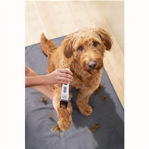 Beurer Fluffy, balta - Trimmeris mājdzīvnieku apmatojuma kopšanai